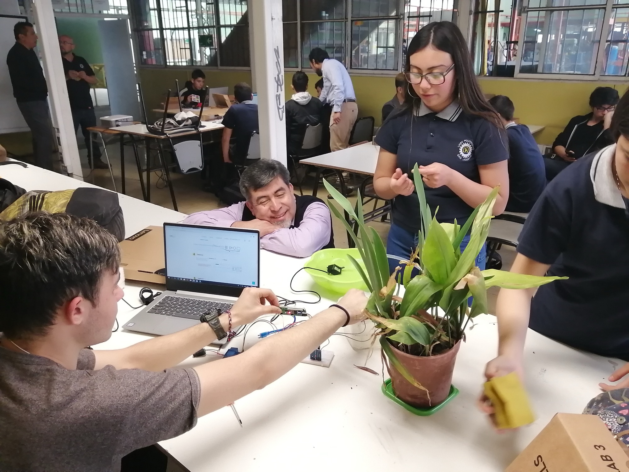 Sensores y plantas en laboratorio STEAM